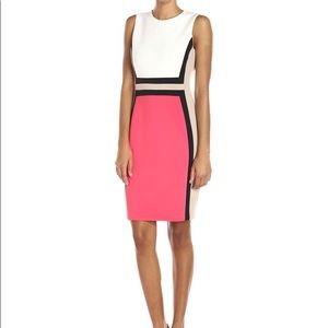 NWOT Calvin Klein Sleeveless Colorblock Dress